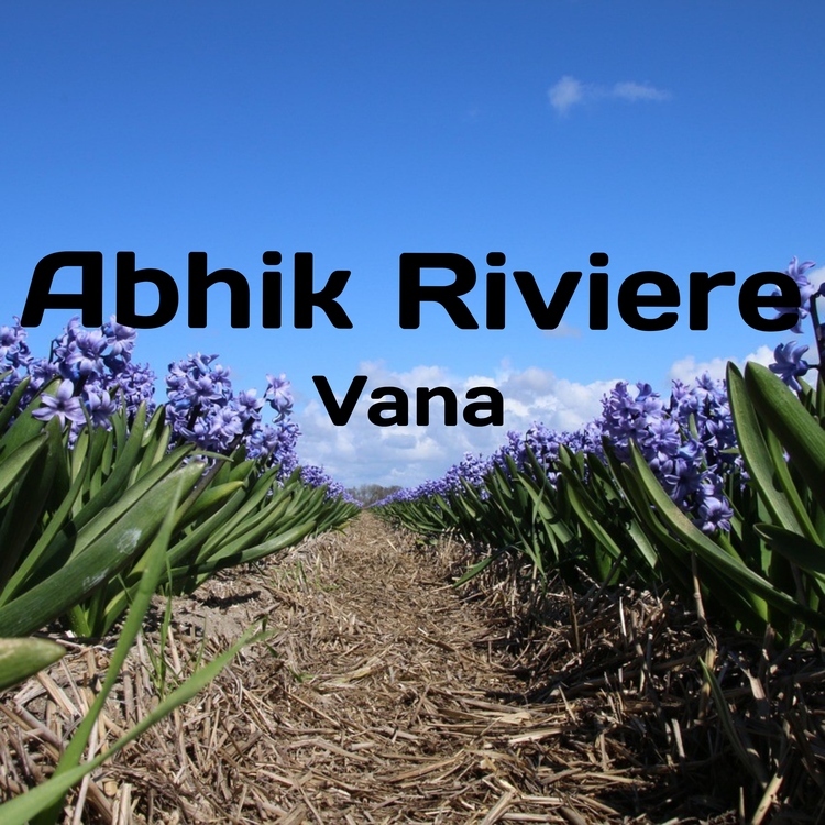 Abhik Riviere's avatar image