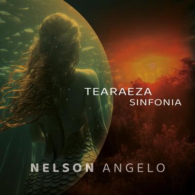 Nelson Angelo's cover