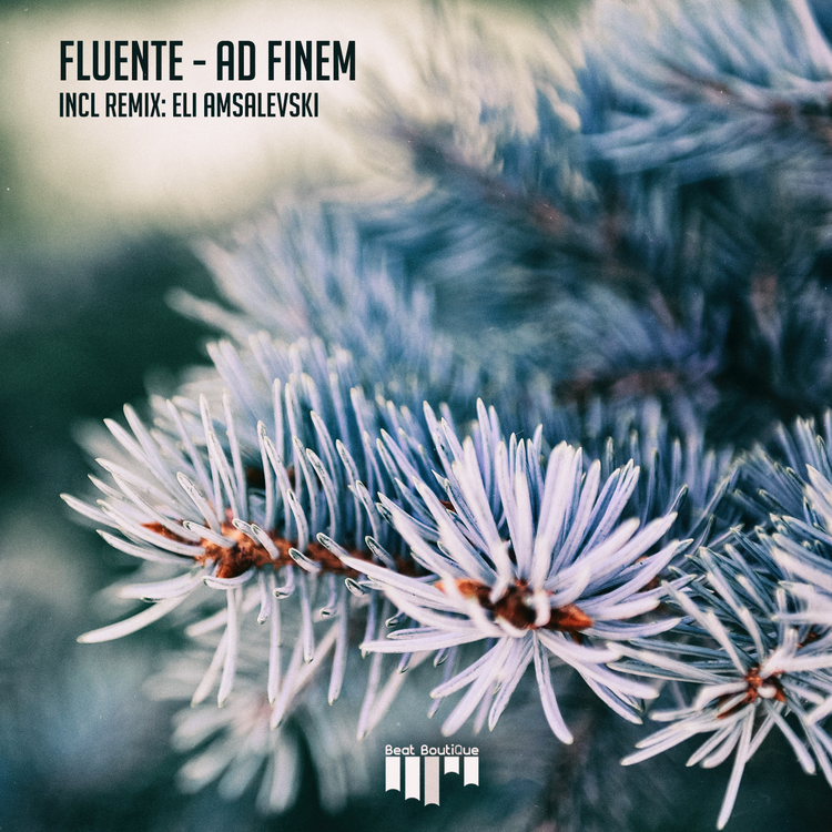 Fluente's avatar image