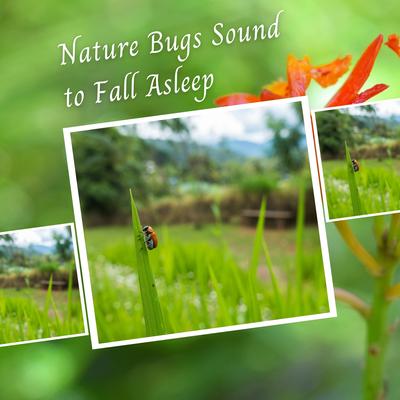 Nature Bugs Sound to Fall Asleep's cover