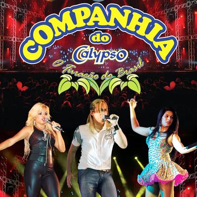 Companhia do Calypso, Vol. 09 (Ao Vivo)'s cover