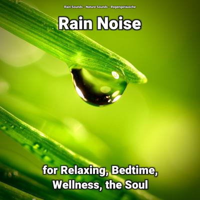 Rain Noise for Wellness Pt. 28's cover