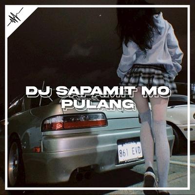 DJ SAPAMIT MO PULANG's cover