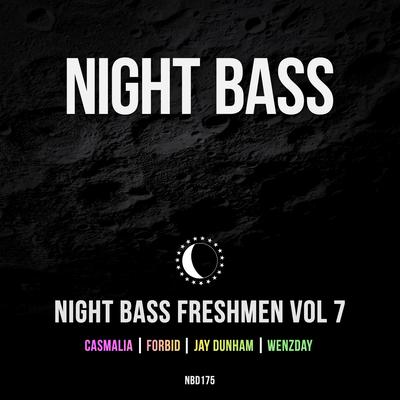 Make Sense By Casmalia, Night Bass's cover