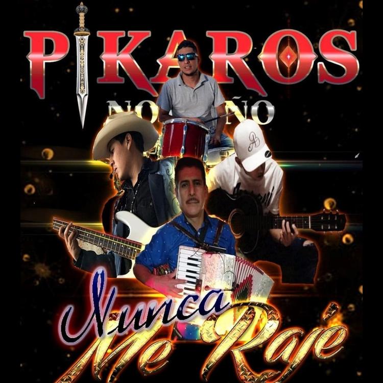 Los Pikaros's avatar image