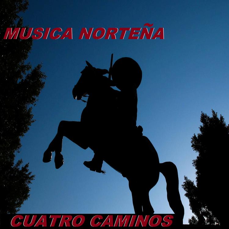 Musica Norteña's avatar image