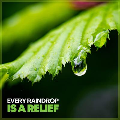 Every Raindrop Is a Relief's cover