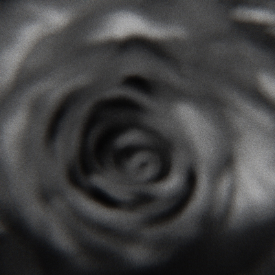 black bouquet By Joseph Feinstein's cover