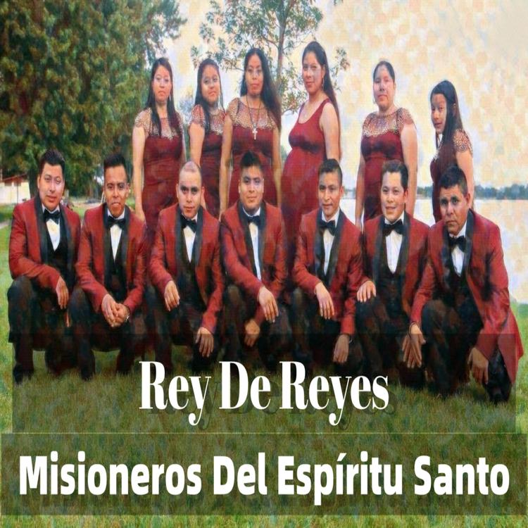 Misioneros del Espíritu Santo's avatar image