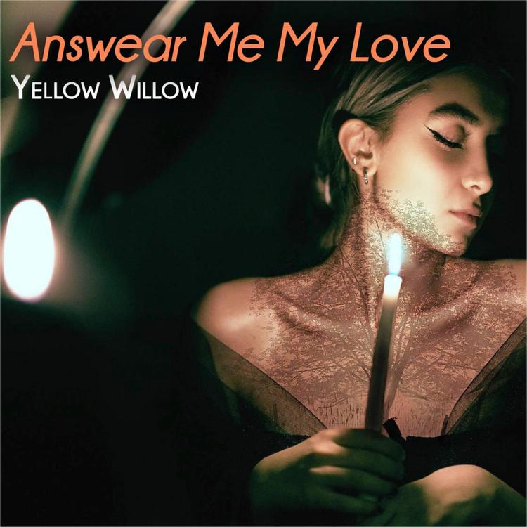 Yellow Willow's avatar image