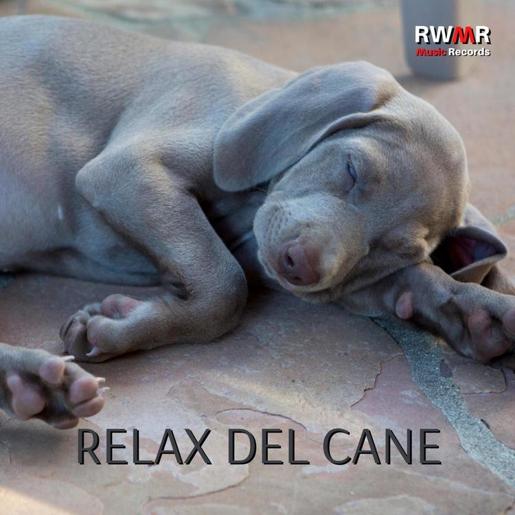 RW Zona relax per cani's avatar image