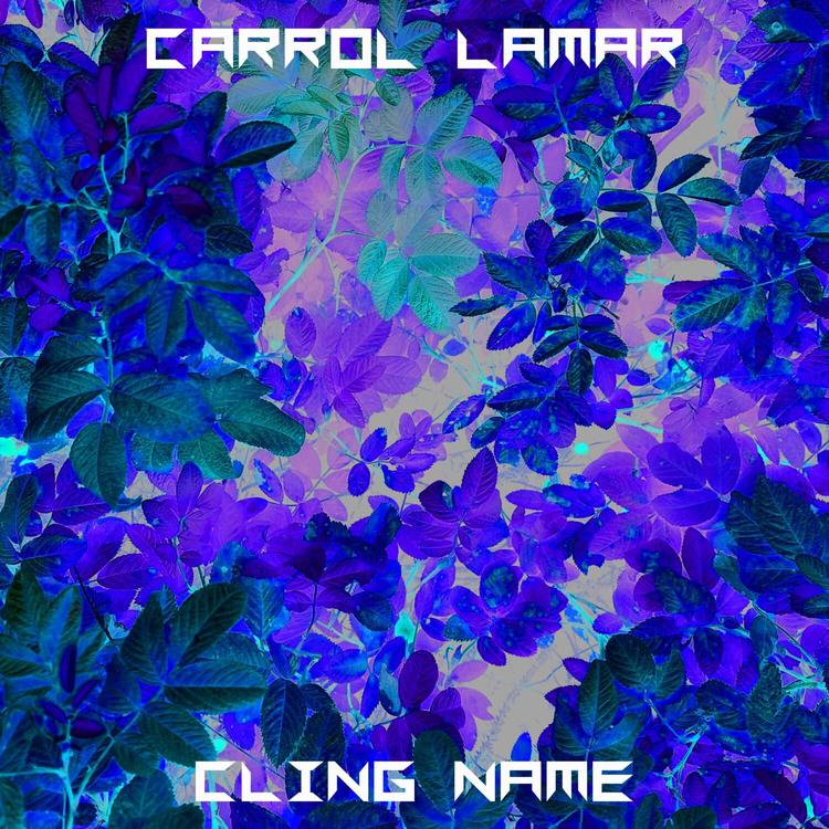 Carrol Lamar's avatar image