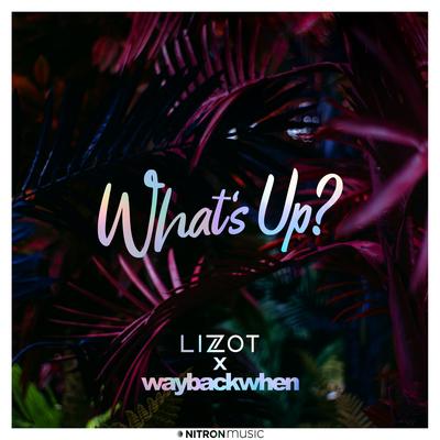 What's Up? By waybackwhen, LIZOT's cover