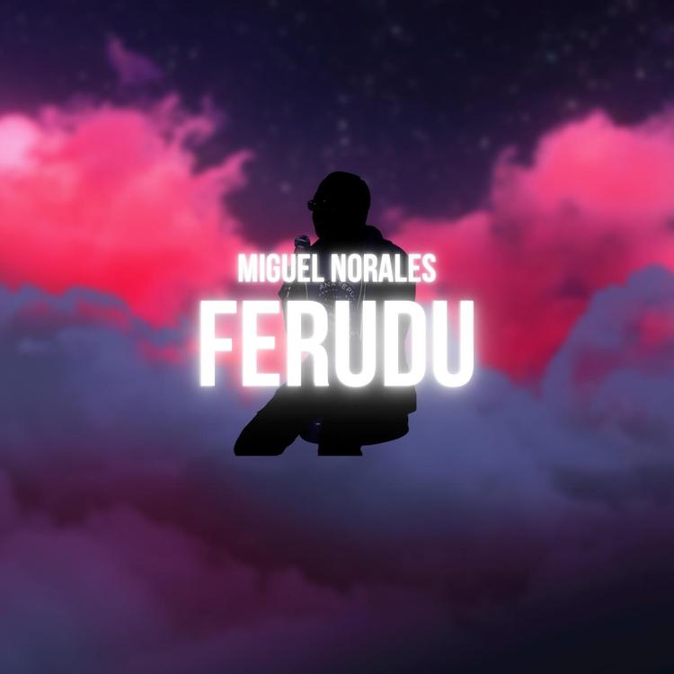 Miguel Norales's avatar image