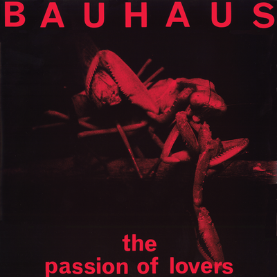 1. David Jay 2. Peter Murphy 3. Kevin Haskins 4. Daniel Ash By Bauhaus's cover