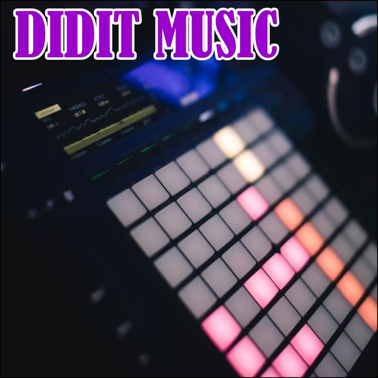 DIDIT MUSIC's avatar image