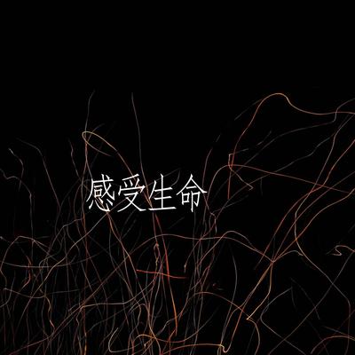 感受生命(伴奏)'s cover