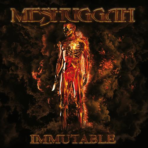 Meshuggah's cover