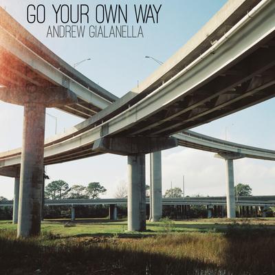 Go Your Own Way By Andrew Gialanella's cover