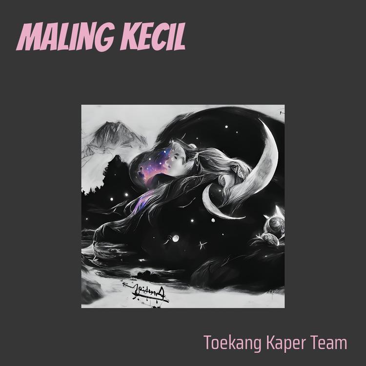 Toekang Kaper Team's avatar image