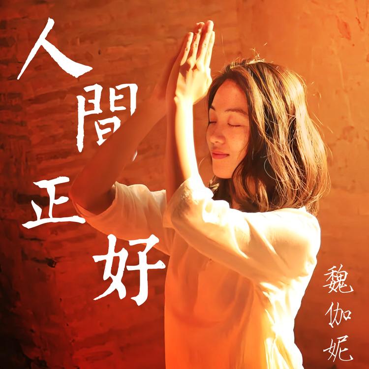 魏伽妮's avatar image