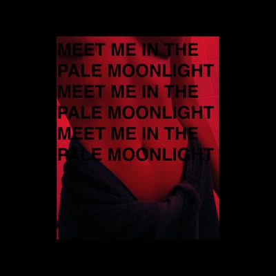 Meet Me In The Pale Moonlight's cover