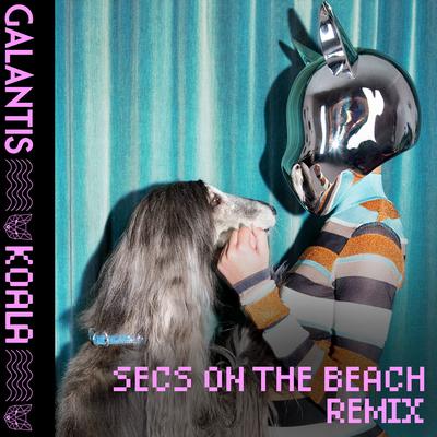 secs on the beach's cover