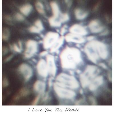 I Love You Too, Death's cover