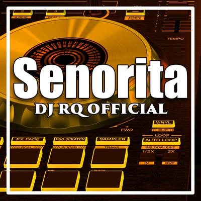 Senorita (Remix)'s cover