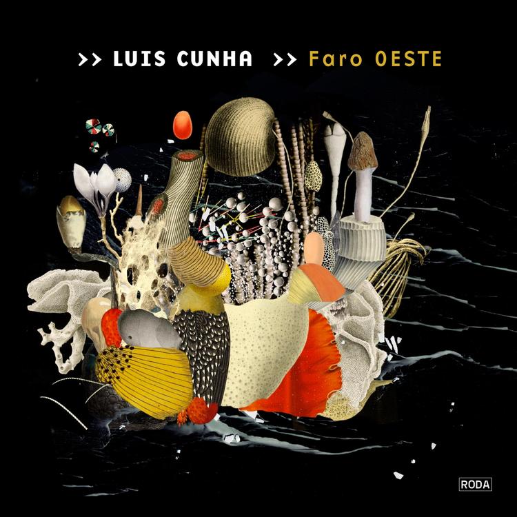 Luís Cunha's avatar image