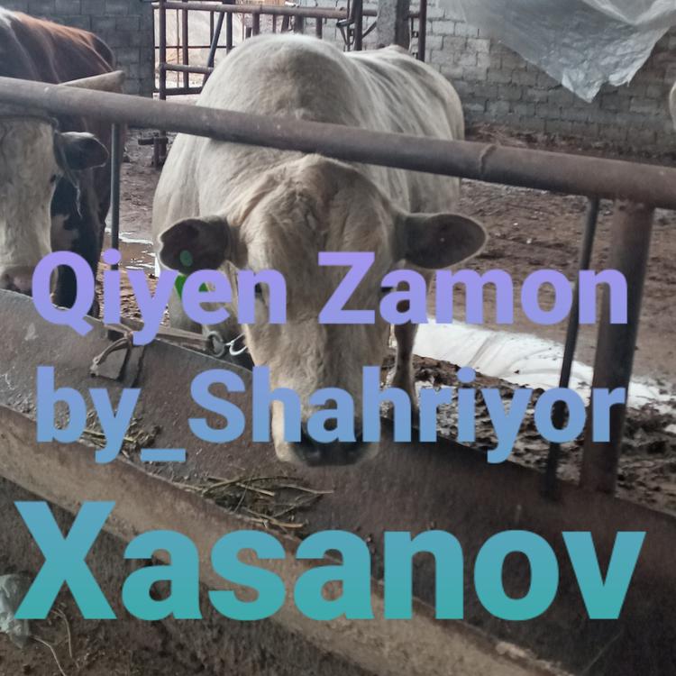 Shahriyor Xasanoov's avatar image