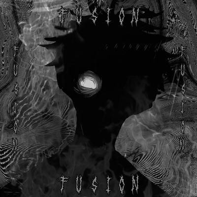 Fusion By Zahi, ShadowStorm's cover