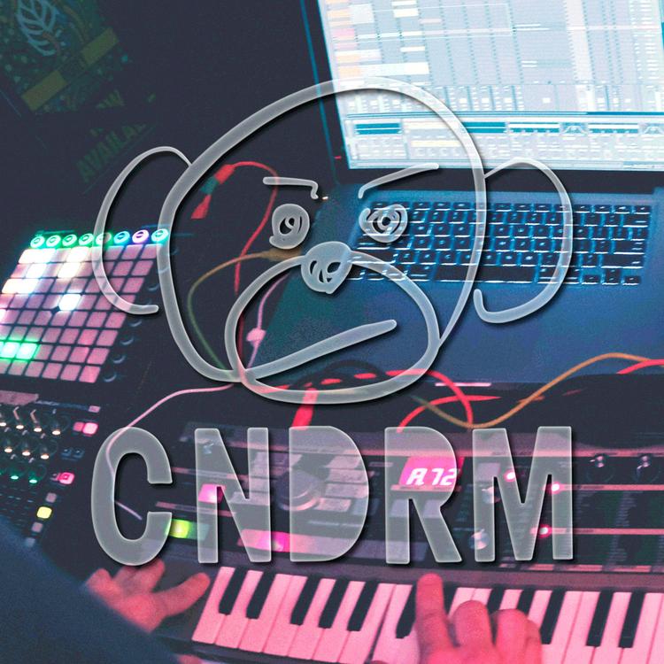 Cndrm's avatar image