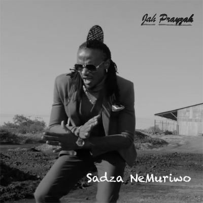 Sadza Nemuriwo By Jah Prayzah's cover