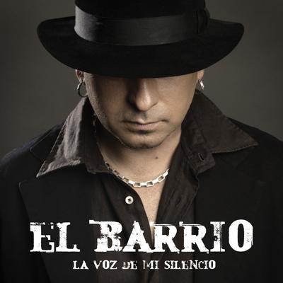 La Voz de Mi Silencio's cover