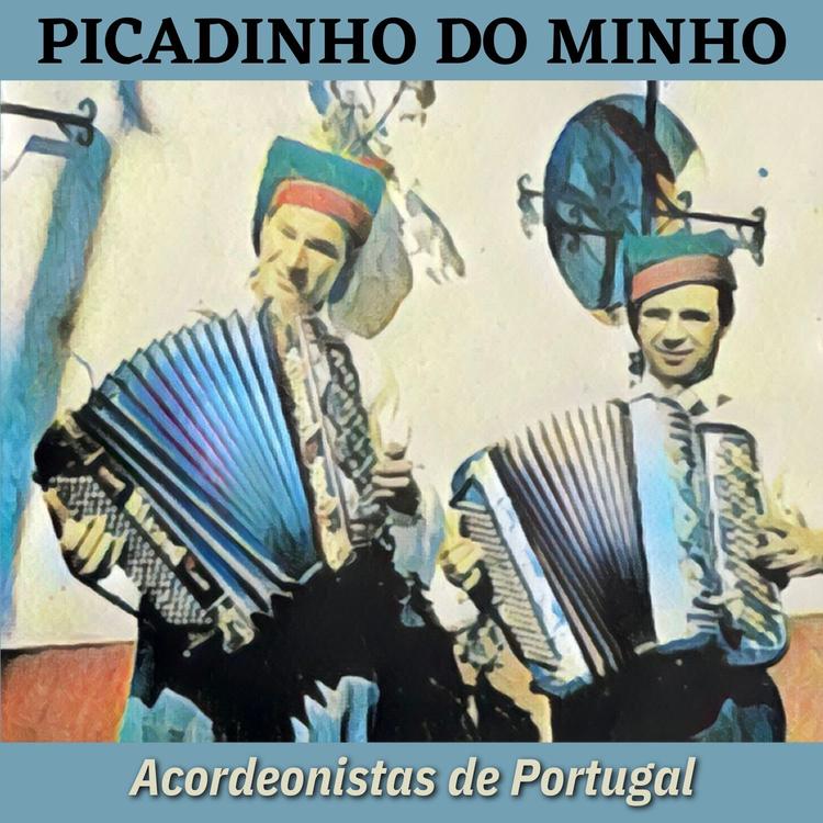 Acordeonistas De Portugal's avatar image