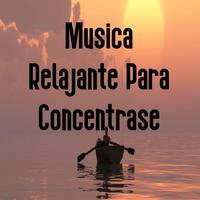 Musica Para Concentrarse's avatar cover