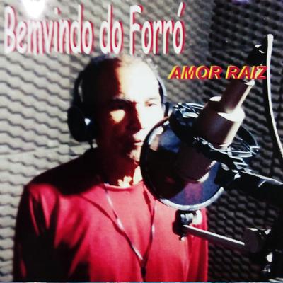 Benvindo do Forró's cover