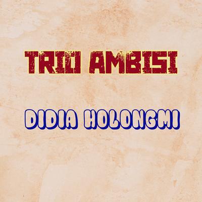 Didia Holongmi's cover