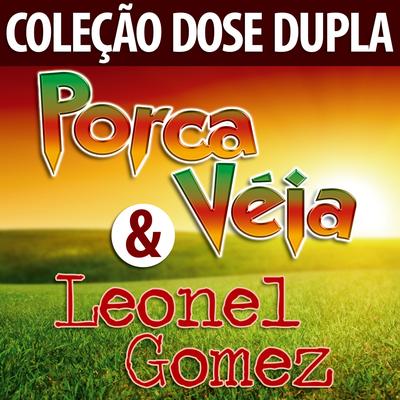 Recorrendo os Aguapés By Porca Véia's cover