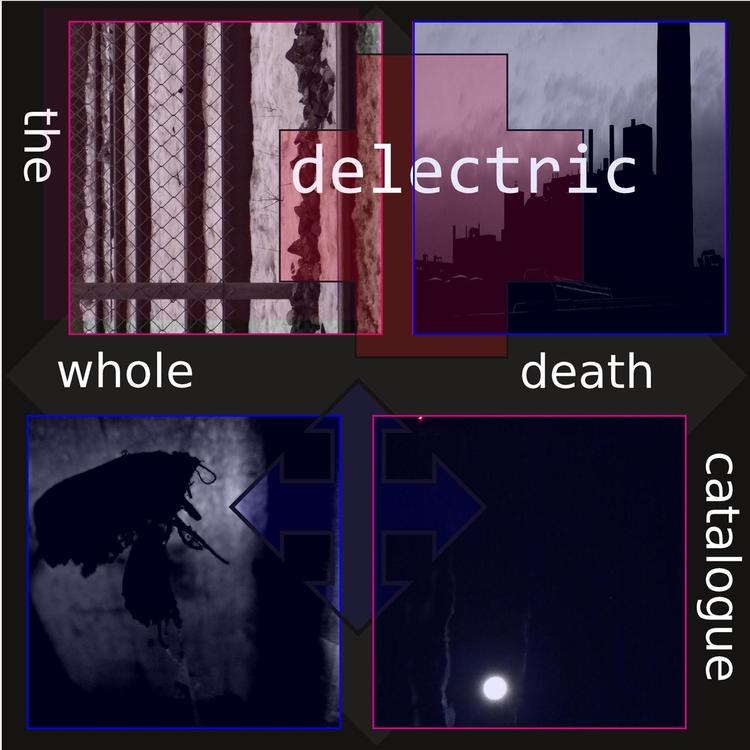 The Whole Death Catalogue's avatar image
