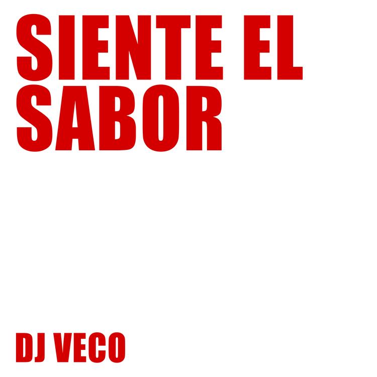 DJ Veco's avatar image