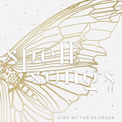 Bird of the Blizzard By Spell Songs, Julie Fowlis's cover