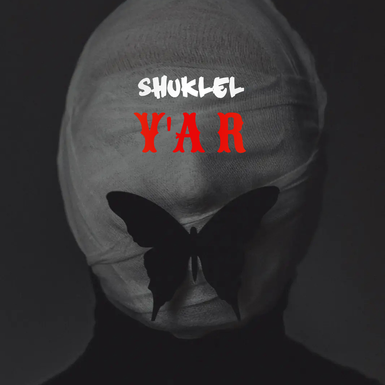 S h u k l e L's avatar image