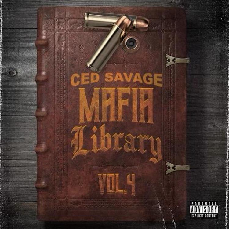 Ced Savage's avatar image