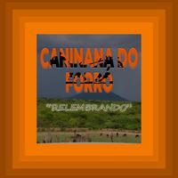 CANINANA 01's avatar cover