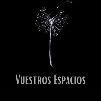 Vuestros Espacios's cover