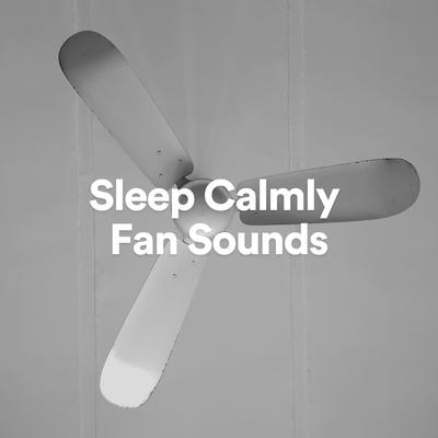 Sleep Calmly Fan Sounds, Pt. 8's cover
