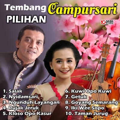 Tembang Campursari Pilihan's cover