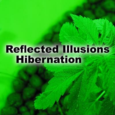 Reflected Illusions's cover